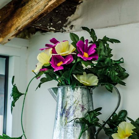 סופיה Off Vitosha Blvd Designer Studio מראה חיצוני תמונה